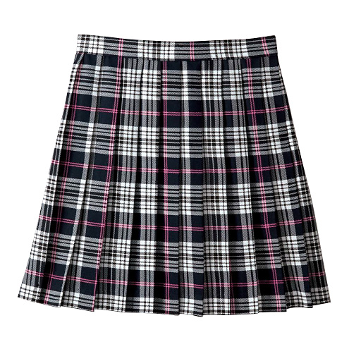 Japanese School Uniform Pleat Skirt (Regular or Mini)! – Passing-Fancy